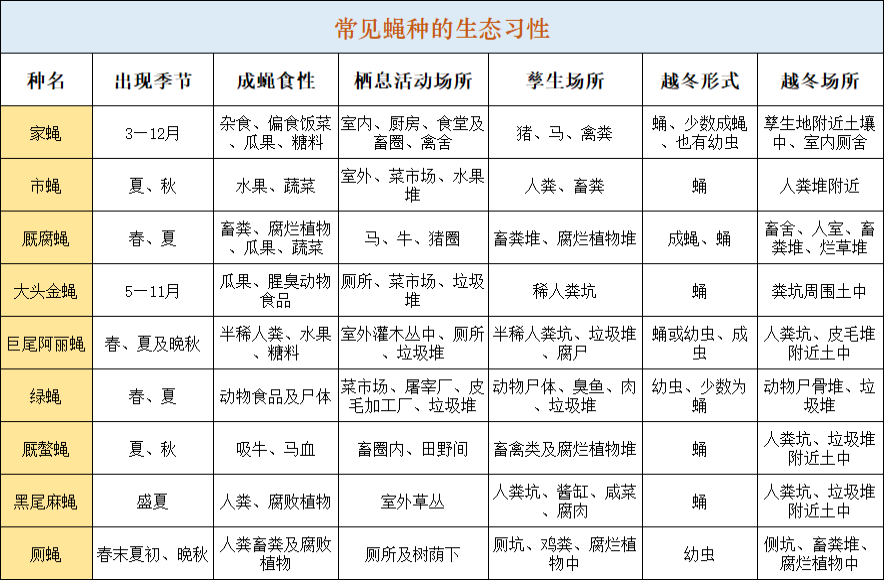 冬天蒼蠅都到哪里去了？會(huì)被凍死嗎？